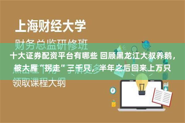 十大证券配资平台有哪些 回顾黑龙江大叔养鹅，被大雁“拐走”三千只，半年之后回来上万只