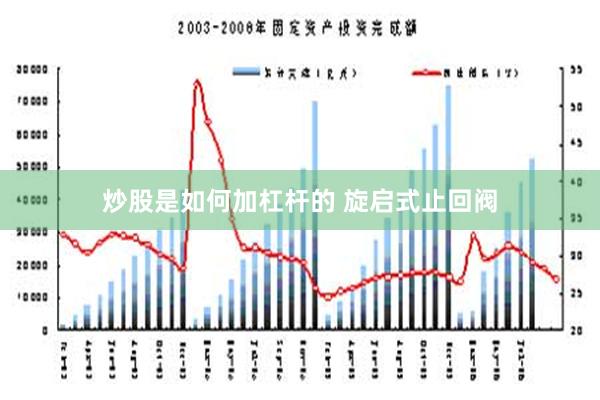 炒股是如何加杠杆的 旋启式止回阀