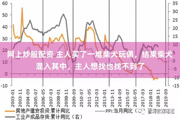 网上炒股配资 主人买了一堆柴犬玩偶，结果柴犬混入其中，主人想找也找不到了