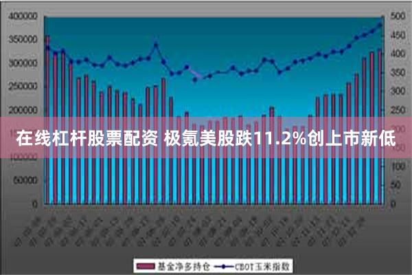 在线杠杆股票配资 极氪美股跌11.2%创上市新低