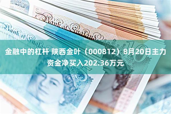 金融中的杠杆 陕西金叶（000812）8月20日主力资金净买入202.36万元