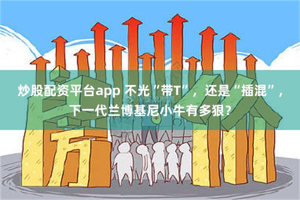 炒股配资平台app 不光“带T”，还是“插混”，下一代兰博基尼小牛有多狠？