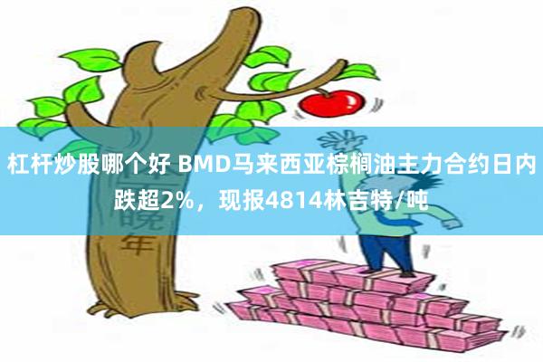 杠杆炒股哪个好 BMD马来西亚棕榈油主力合约日内跌超2%，现报4814林吉特/吨