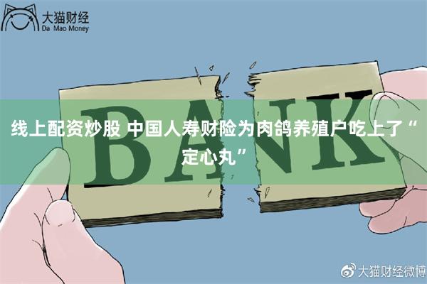 线上配资炒股 中国人寿财险为肉鸽养殖户吃上了“定心丸”